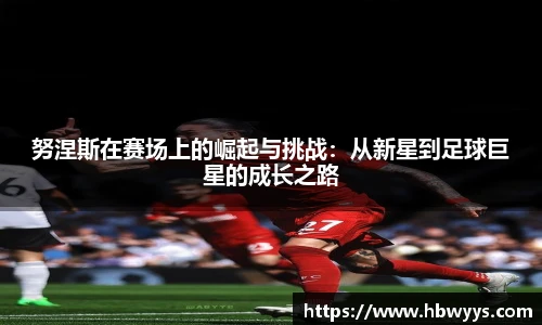 努涅斯在赛场上的崛起与挑战：从新星到足球巨星的成长之路