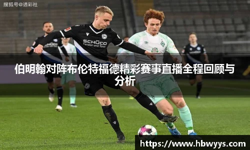 lehu乐虎国际官网